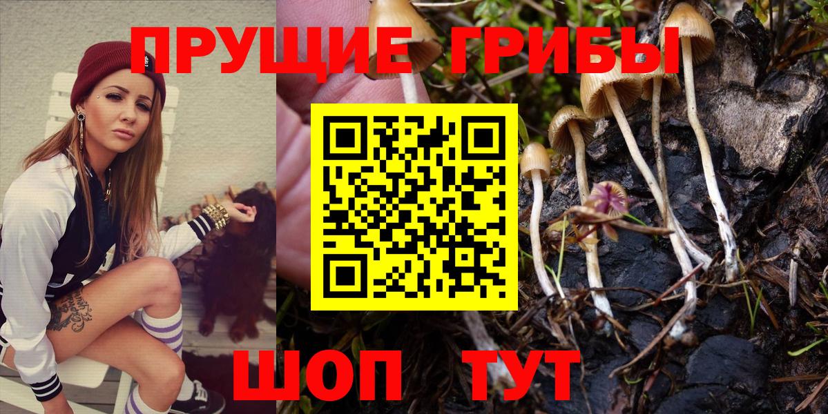 дарнет шоп  Псилоцибиновые грибы Cubensis  Вход с VPN  Вичуга 